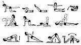Best Exercises To Strengthen Pelvic Floor Muscles Photos
