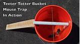 Photos of Bucket Mouse Trap