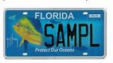 Pictures of Florida License Plate Registration Renewal
