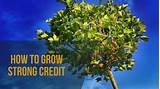 Images of How To Grow Credit Score