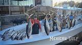 Venice Louisiana Fishing Pictures