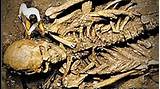 Nephilim Fossils Photos
