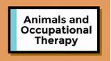Occupational Therapy With Animals Images