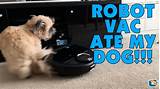 Dog Robot Vacuum Pictures