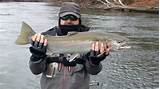 Smallmouth Bass Fishing In Michigan