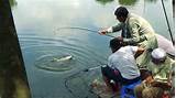 Rohu Fishing Video Photos