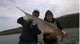 Oklahoma Lake Fishing Reports Images