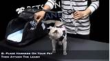 Images of Travel Pet Carrier