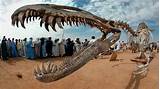 Very First Dinosaur Fossil Found Photos