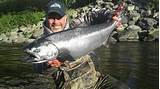 Salmon Fishing In Kenai Alaska Photos