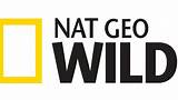 Watch Natgeo Online Live Images