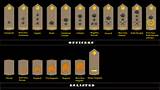 Images of Ranks In The British Army