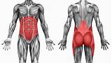 Core Muscles Stability Images