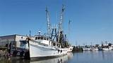 Pictures of Florida Commercial Fishing Permits For Sale