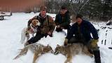Images of Coyote Hunting Outfitters