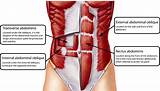 Upper Core Muscles