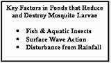 Images of Mosquito Larvae Control In Ponds