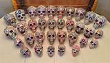 Images of Cheap Life Size Plastic Skulls