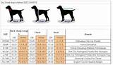 Dog Clothes Size Chart
