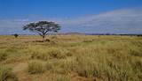 Lodges Serengeti National Park