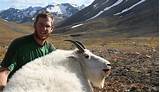 Mountain Goat Hunting Photos