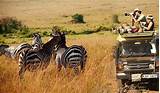 Kenya Tanzania Tour Packages From India Pictures