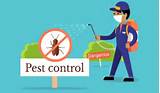 What Is Pest Control Services Images