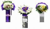 Images of Flower Specials Free Delivery