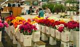 Los Angeles Flower Market Pictures