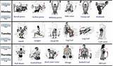 Images of Beginner Bodybuilding Training Program