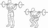 Best Shoulder Exercises Images