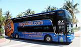 Photos of Bus Service Miami To Tallahassee