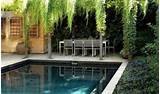 Trees For Pool Landscaping Photos