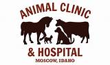 Pictures of Love Animal Clinic