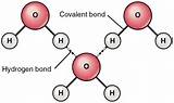 Hydrogen Bond Photos