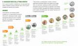 Images of Network Marketing Herbalife