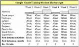 Endurance Circuit Training Workouts Images