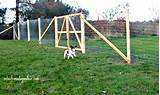 Electric Dog Fence For Large Yards Pictures