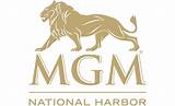 Mgm Casino Marketing Pictures