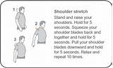 Images of Neck And Shoulder Muscle Strengthening Exercises