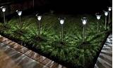 Solar Lights Kerala Pictures