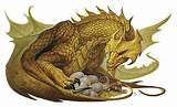 Pictures of Gold Olympus Dragon