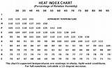 The Miami Heat Index Pictures