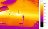 Images of Thermal Imaging Services