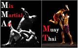 Muay Thai Martial Arts