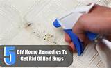 Photos of How To Get Rid Of Bed Bugs Lysol