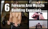 Muscle Building Exercises Pictures