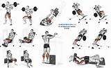 Images of Bodybuilding Quad Exercises