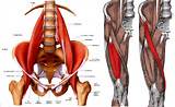 Hip Flexor And Core Strengthening Pictures