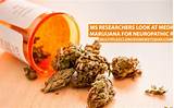 Photos of Marijuana For Ms